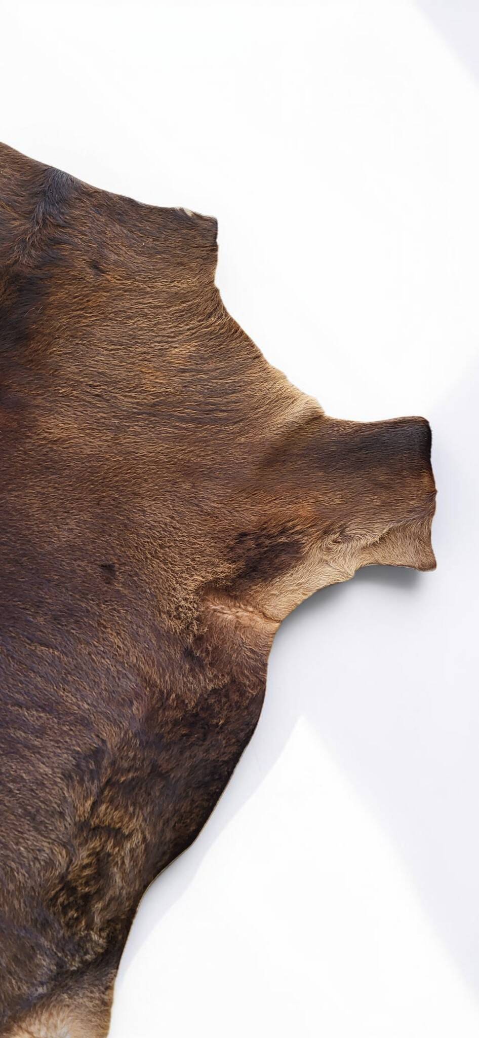 Cowhide / calfskin