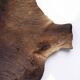 Cowhide / calfskin