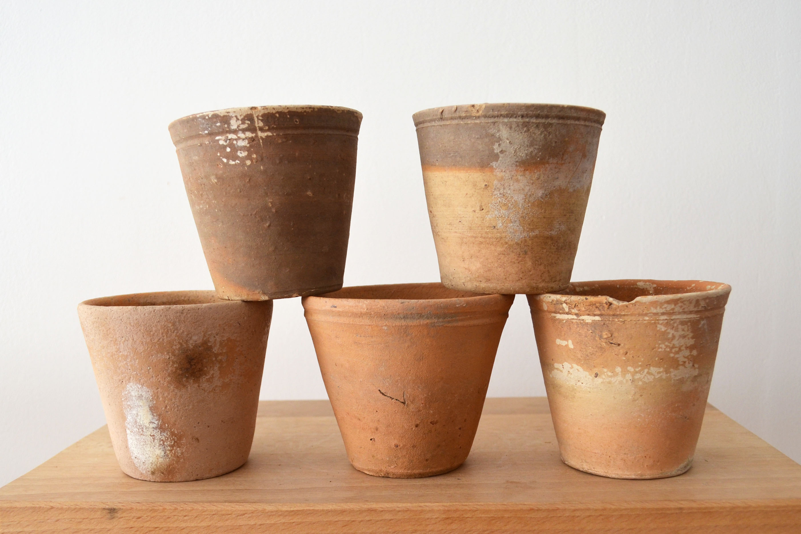 10 terracotta seedling pots