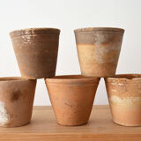 10 terracotta seedling pots