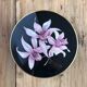 Villeroy and Boch candy factory, Orchid model
