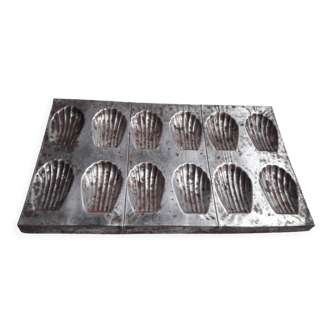 mold 12 old madeleines