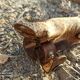 Old mushroom knife goat paste