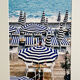 The parasols