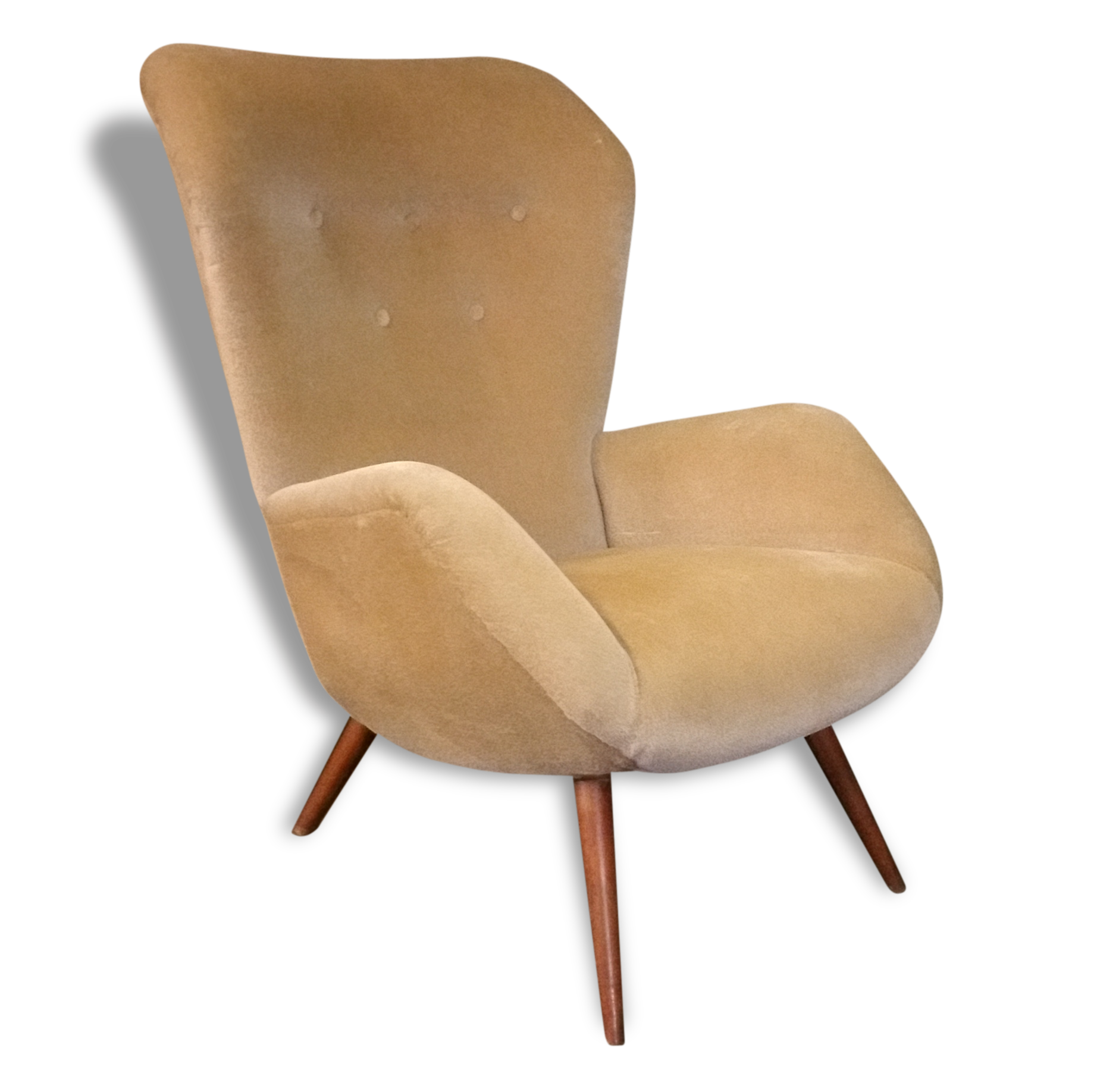 Rare year 50 Wing chair Bergère Chair of Ernst Max Jahn