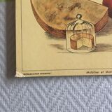 Educational poster milk, 80s