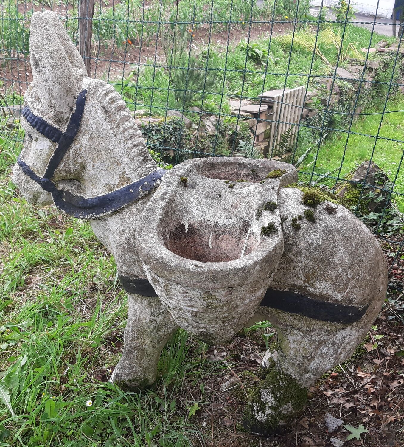 Âne jardinière année 60-70