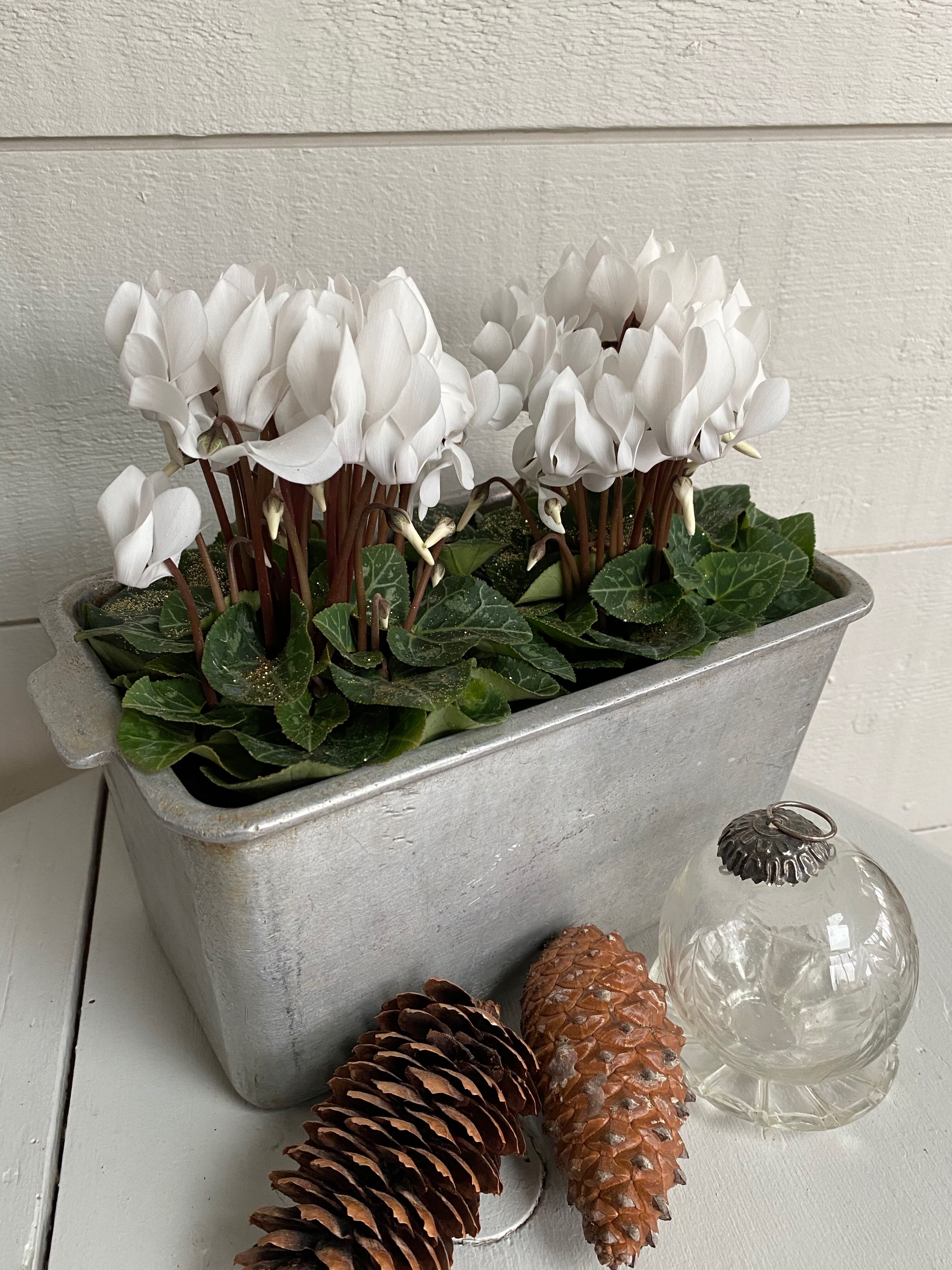 Jardinière patinée