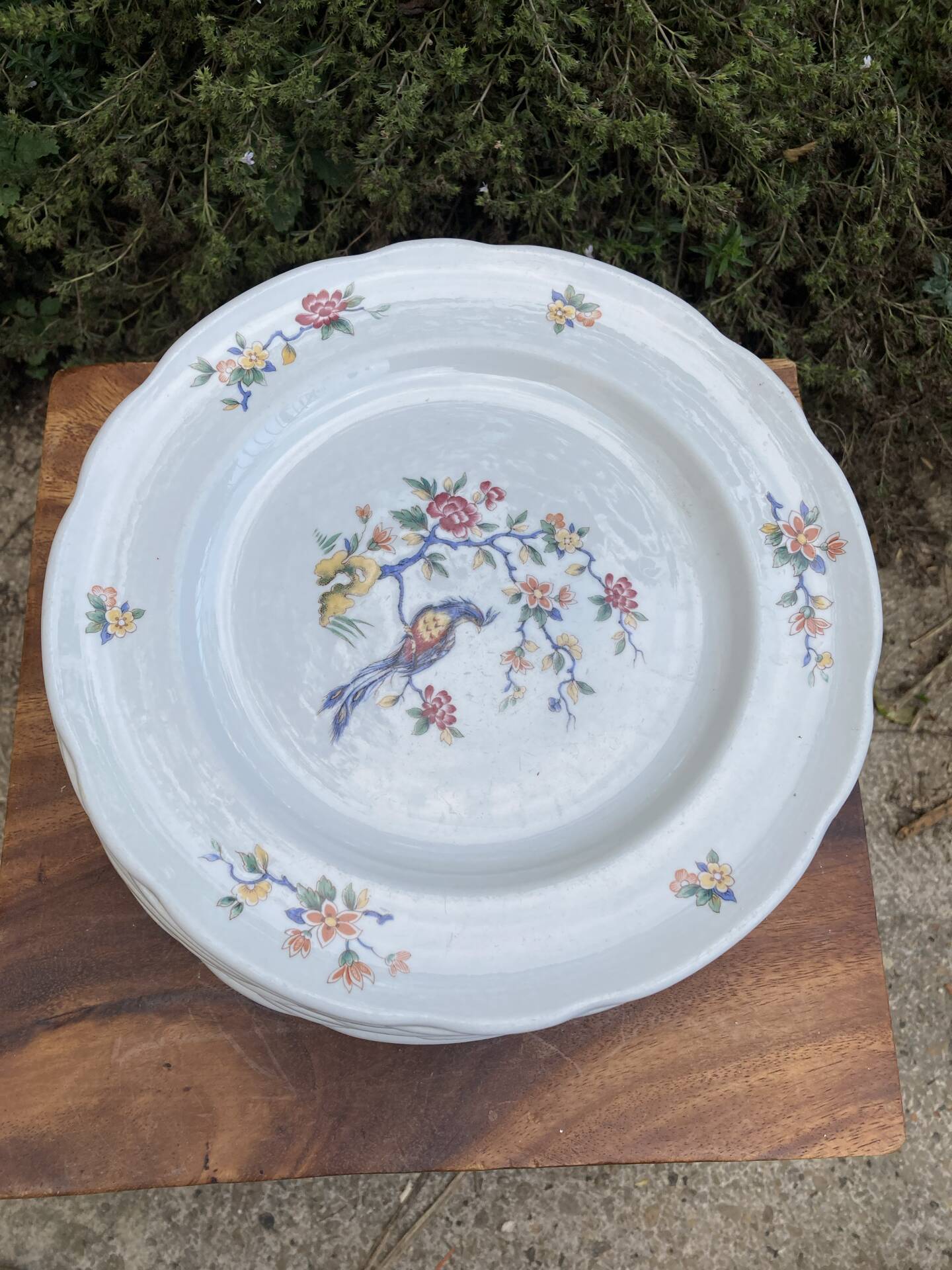 Sarreguemines plates paradise birds / Phoenix
