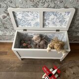 Old toy box (renovated)