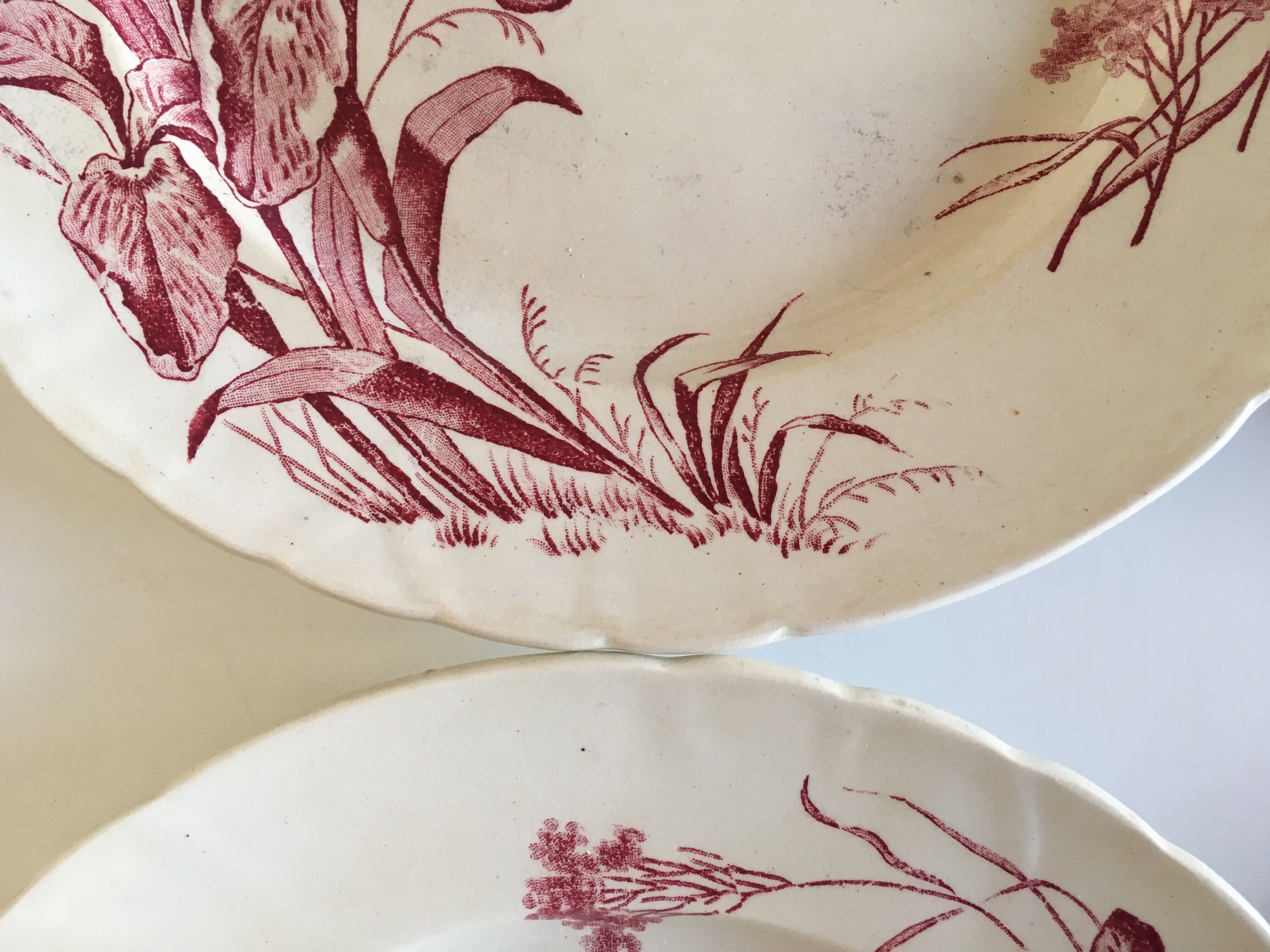 Flat plates J Vieillard Bordeaux, 1850