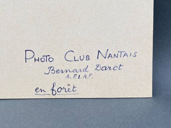 Photo argentique Bernard Darot XXe AFIAP Photo Club Nantais En Forêt
