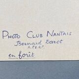 Silver gelatin photograph by Bernard Darot, 20th century, AFIAP Photo Club Nantais, in the forest