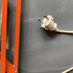 Lampe vintage  industriel de travail Sweden