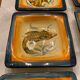 Set 6 hollow plates, glazed terracotta, France