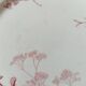 Lot of 2 Antique Plates Sarreguemines Model Carmen Red (Li)