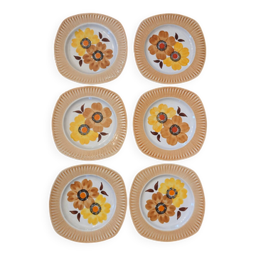 6 Mondovi plates