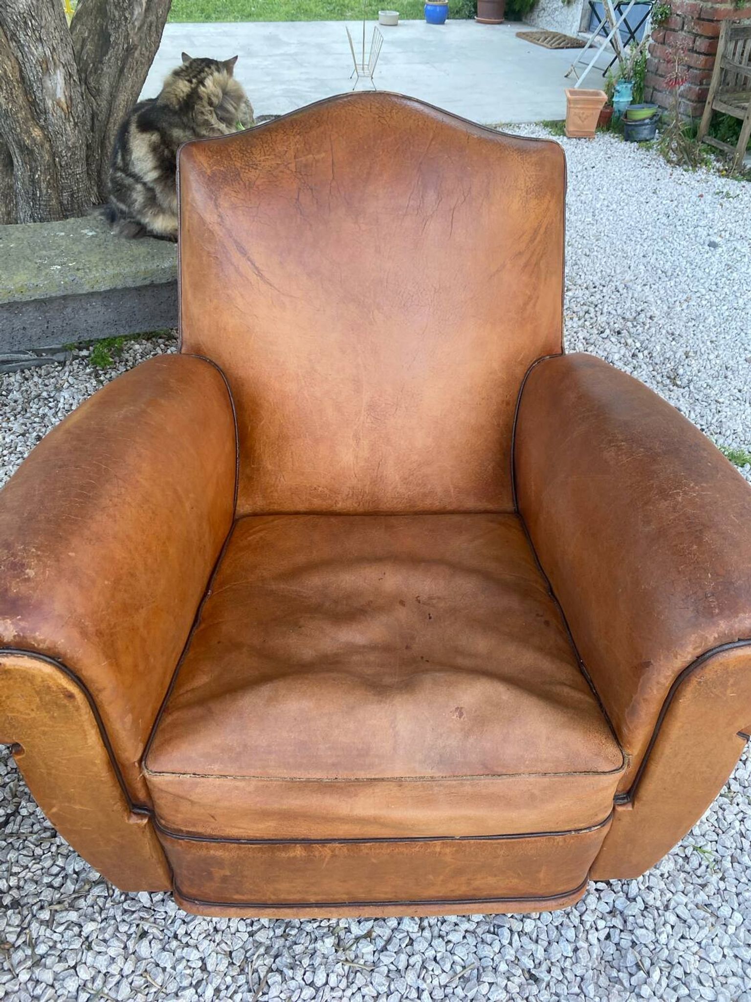 Paire de fauteuils club
