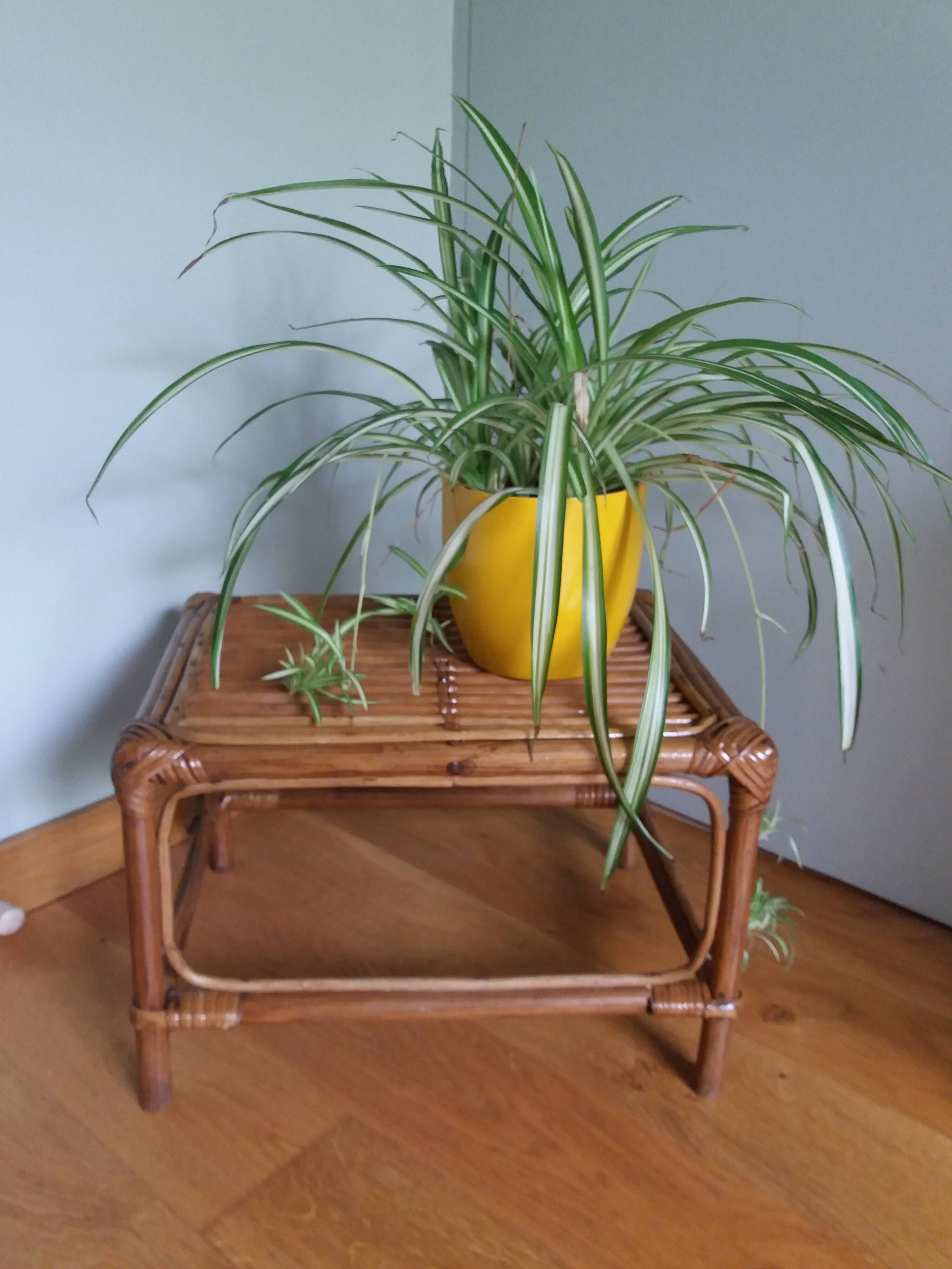 Wicker rattan end table