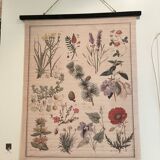 Botanical tapestry of flowers