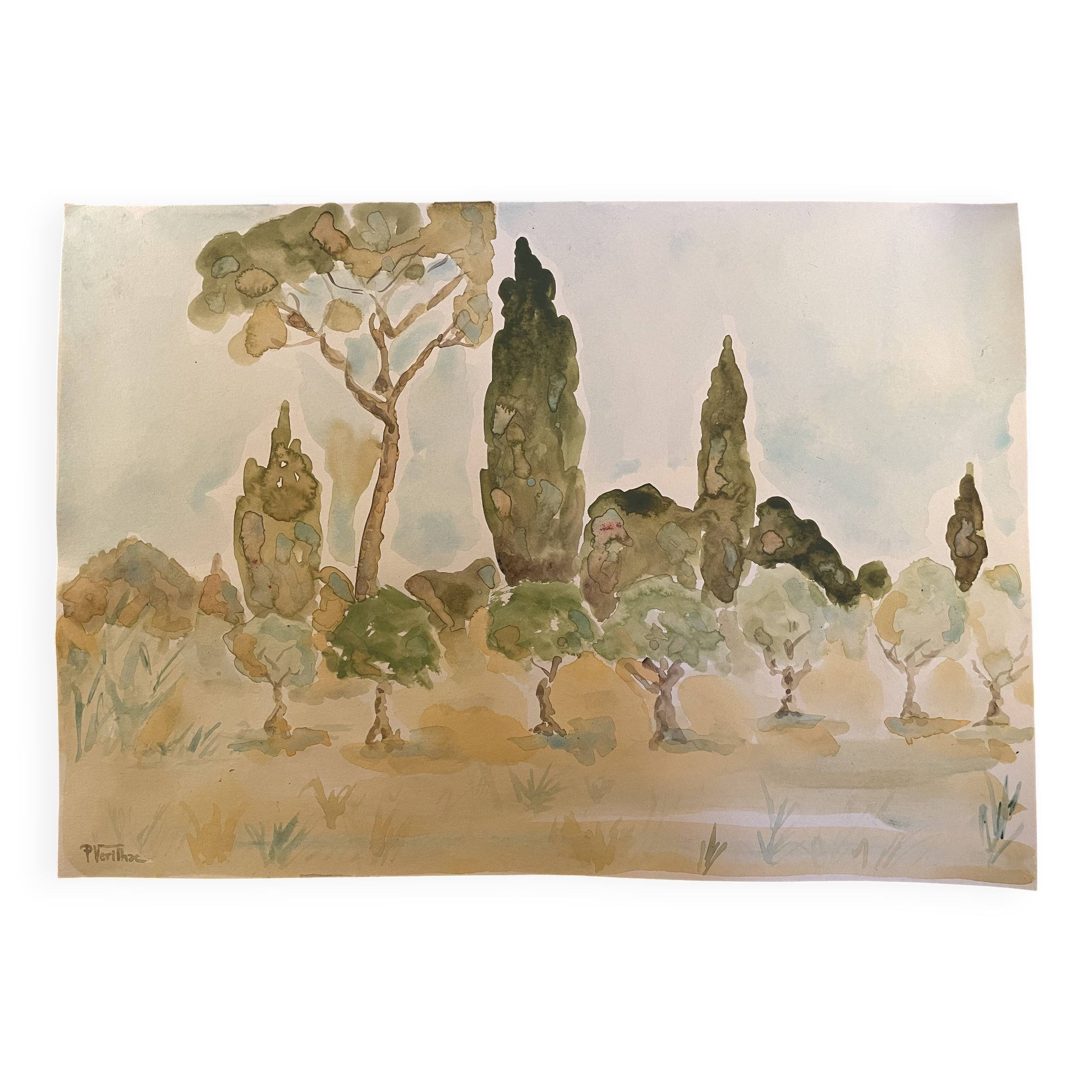 Signed watercolor painting “olive tree field in Provence”
