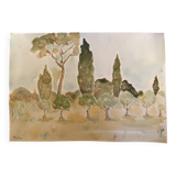 Signed watercolor painting “olive tree field in Provence”