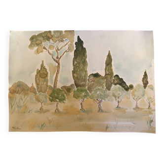 Signed watercolor painting “olive tree field in Provence”