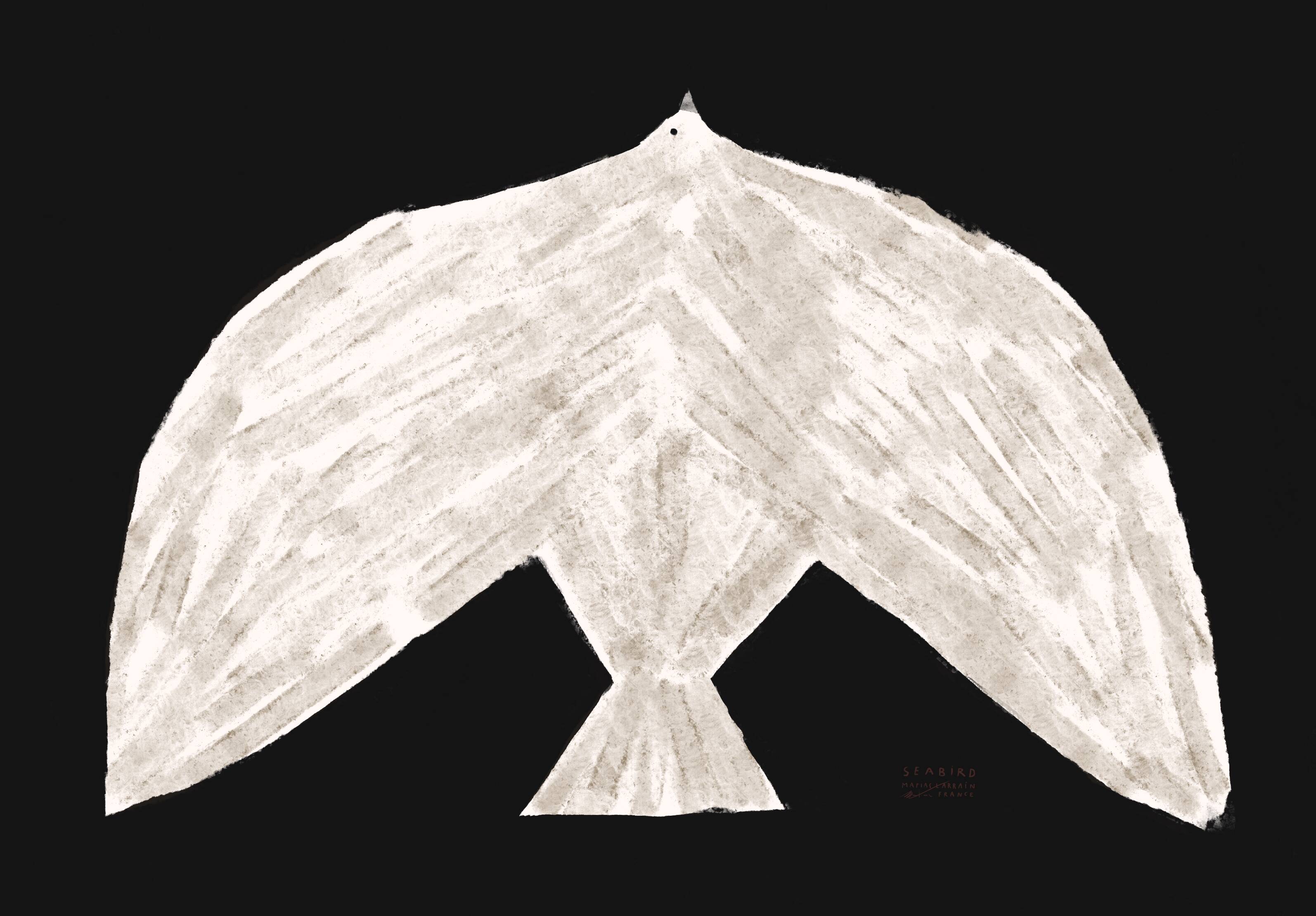 Bird II - Wall poster 70x50cm
