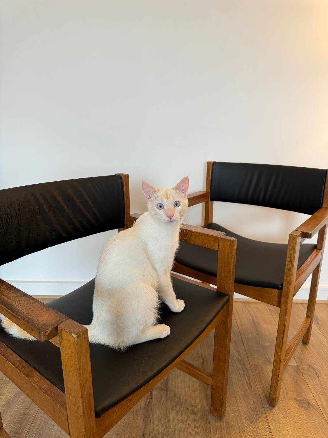 Fauteuil vintage danois Hongstole, 1970