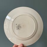 Series of 8 dessert plates 1900 in Longwy earthenware