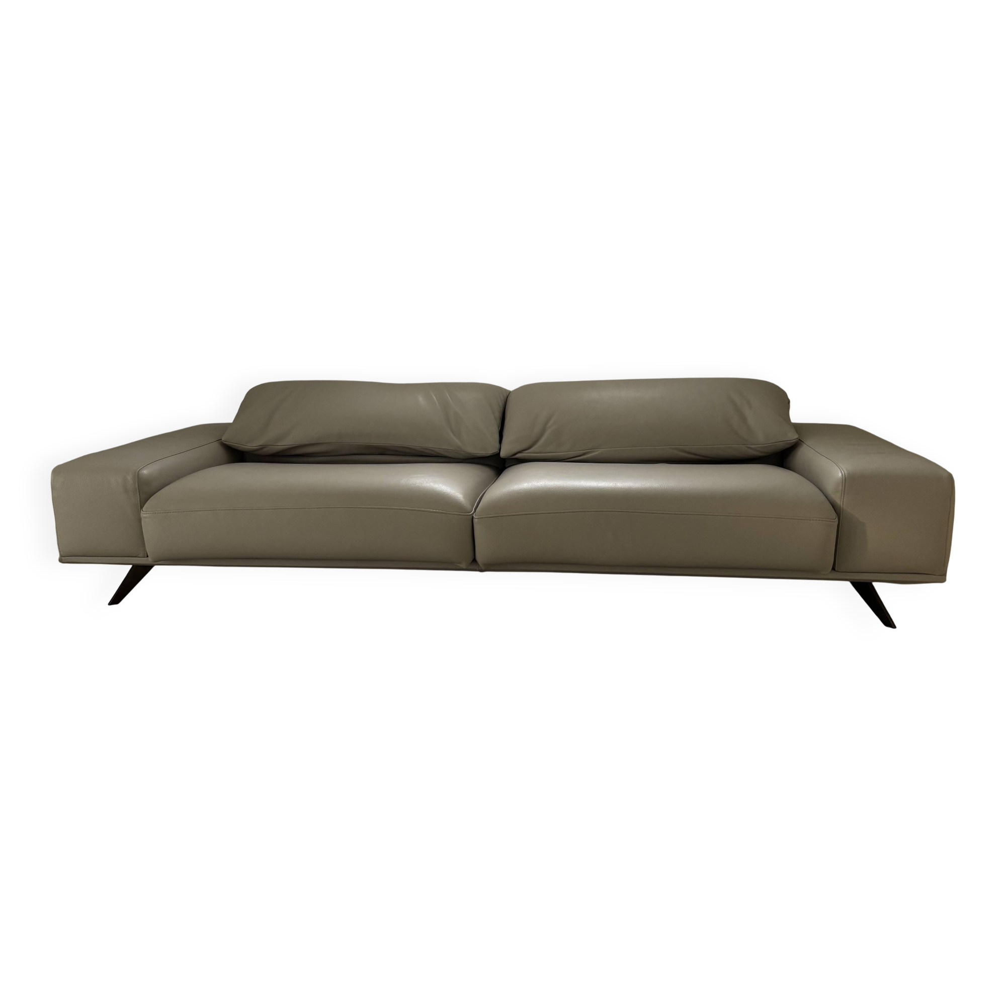 Roche bobois sofa