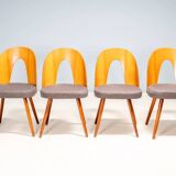 Chaises de salle à manger Antonín Šuman, Tatra Nábytok, Tchécoslovaquie années 1960.