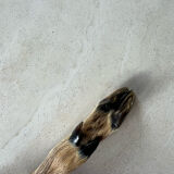 Deer hoof cheese knife