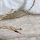 Pair of pendants in white opaline and transparent serrated edges
