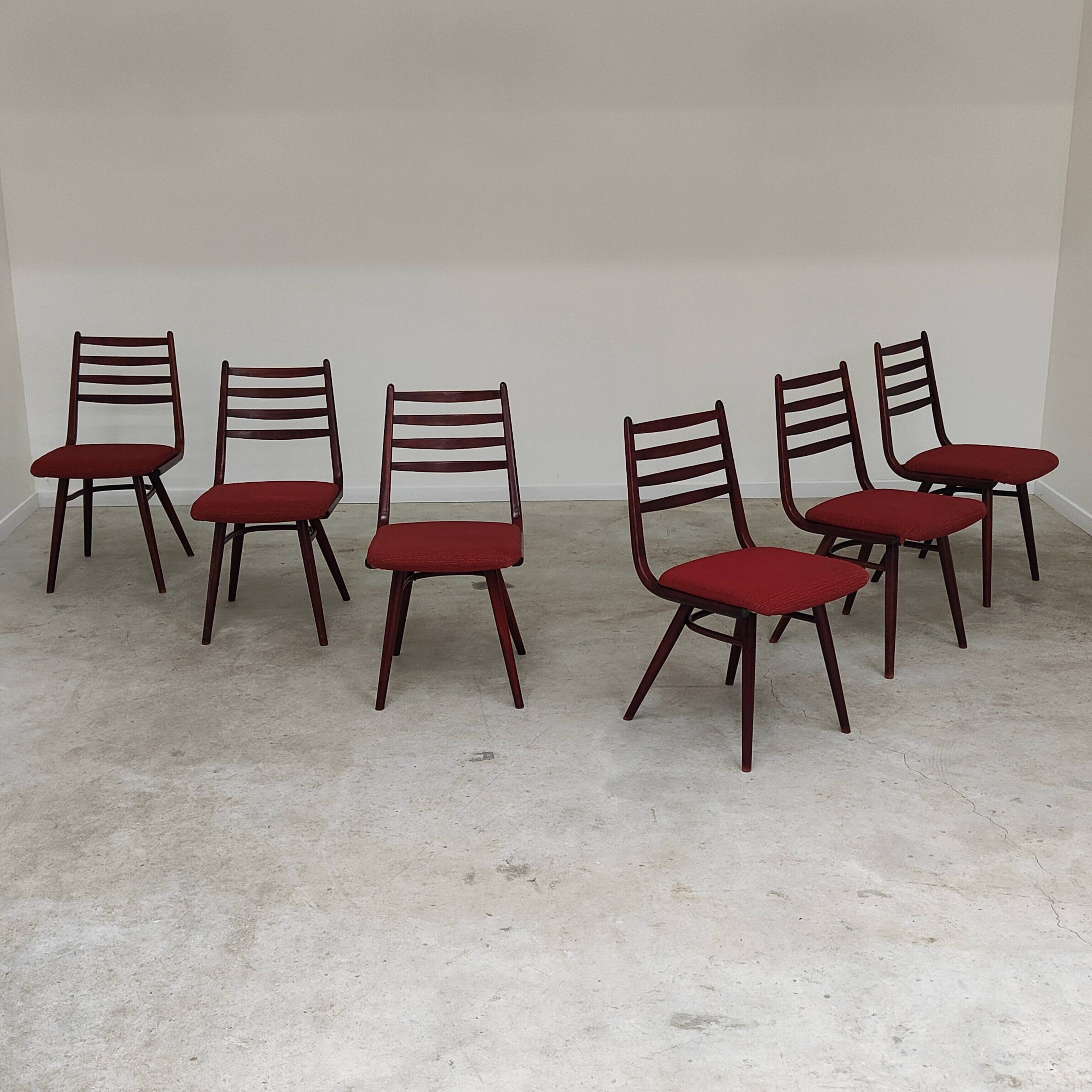 Lot de 6 chaises Jitona Sobeslav , Tchécoslovaquie 1960