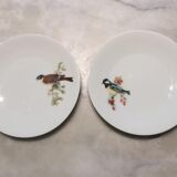 5 bird decoration dessert plates