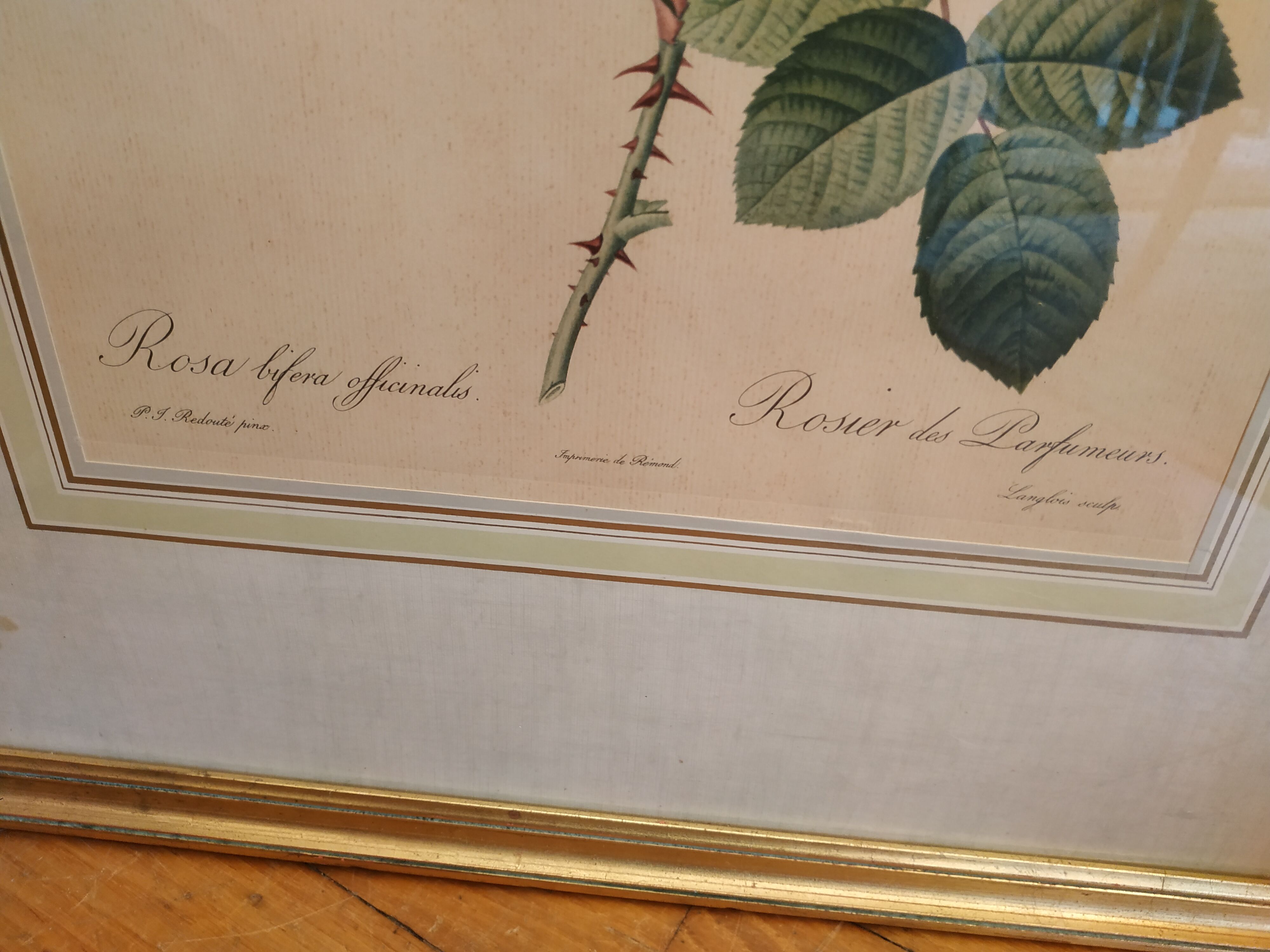 Redoubted Rose Engraving