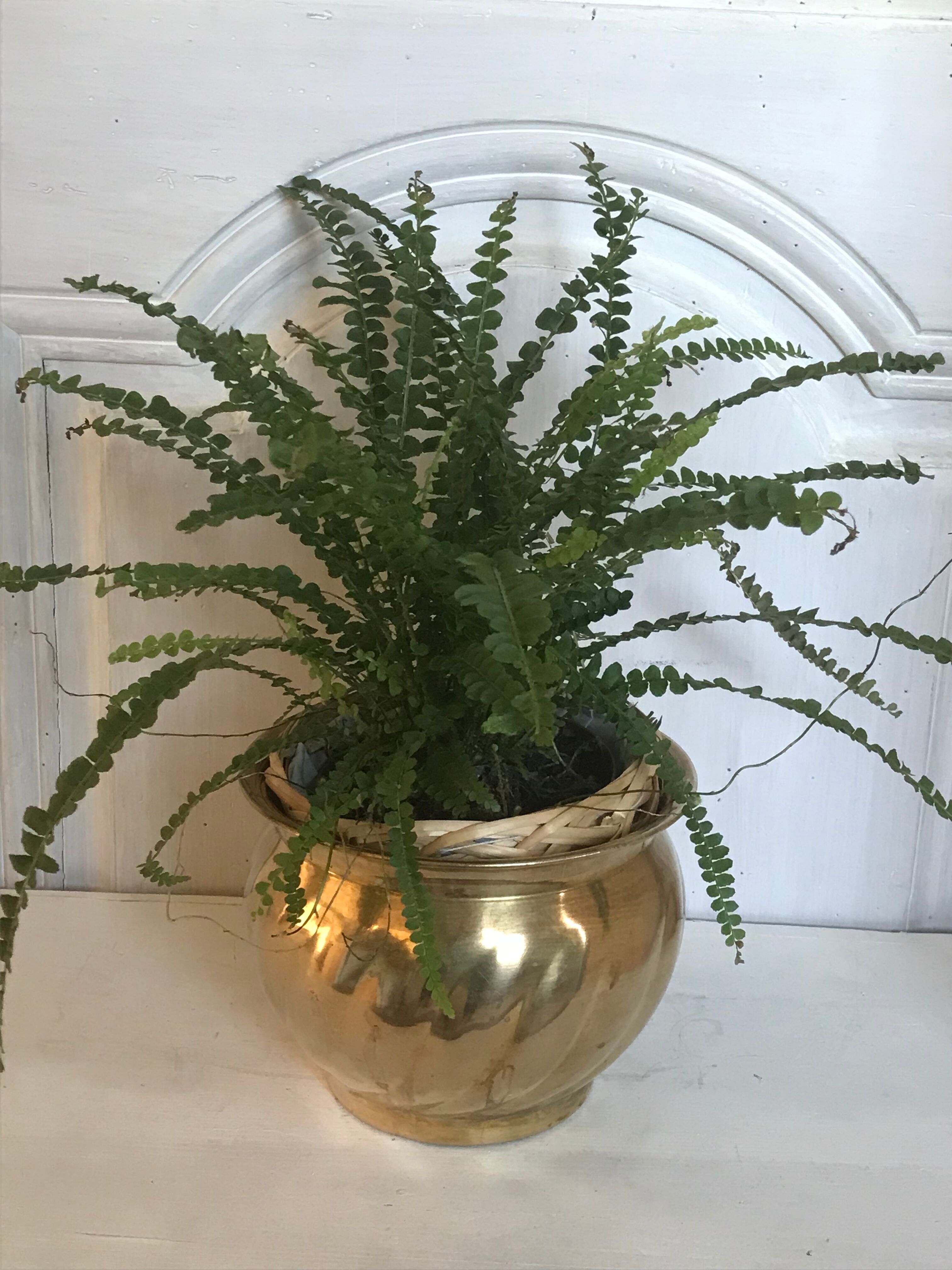 Vintage brass pot cover