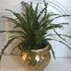 Vintage brass pot cover