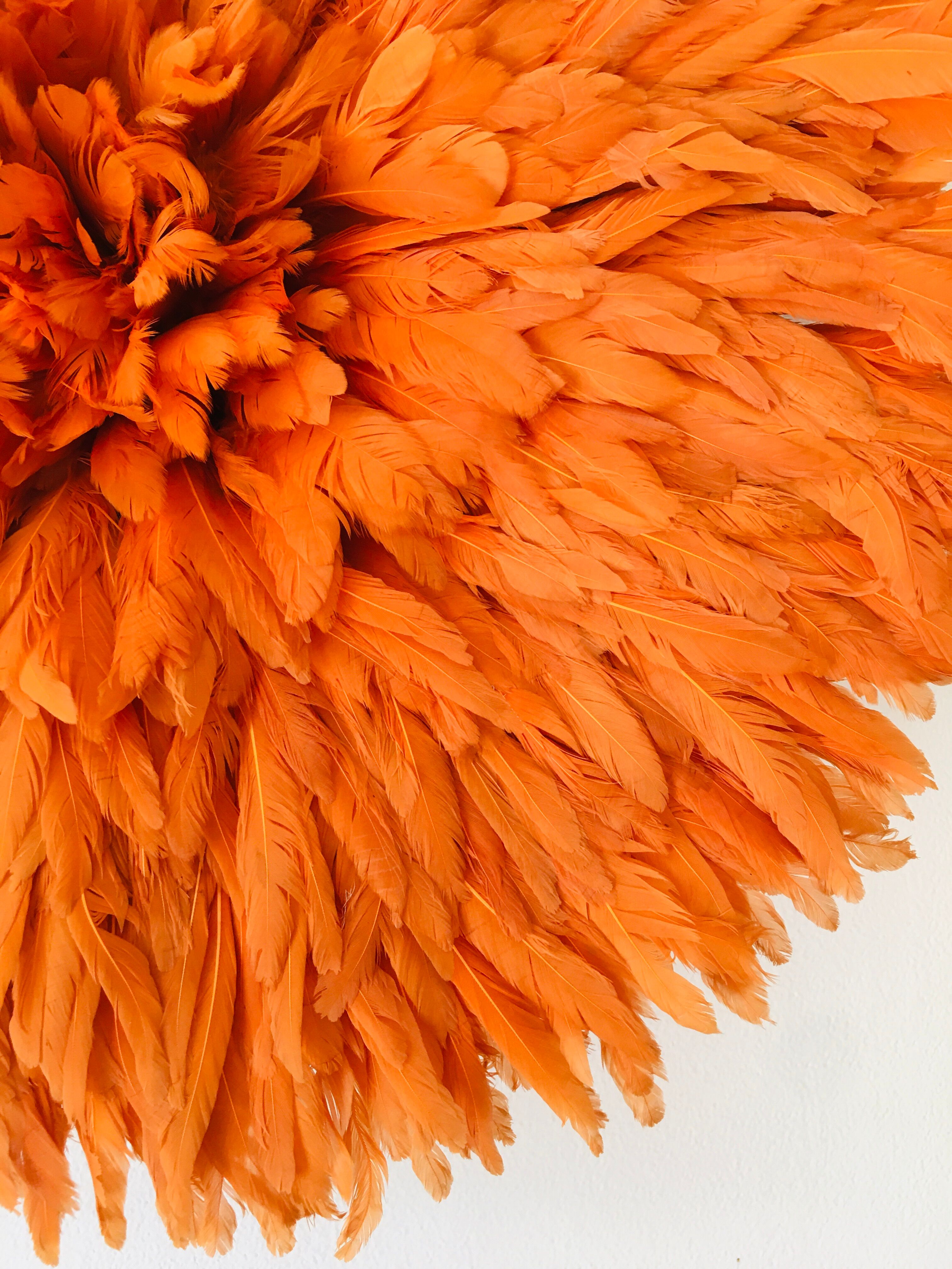 Jujuhat orange 50 cm