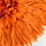 Jujuhat orange 50 cm