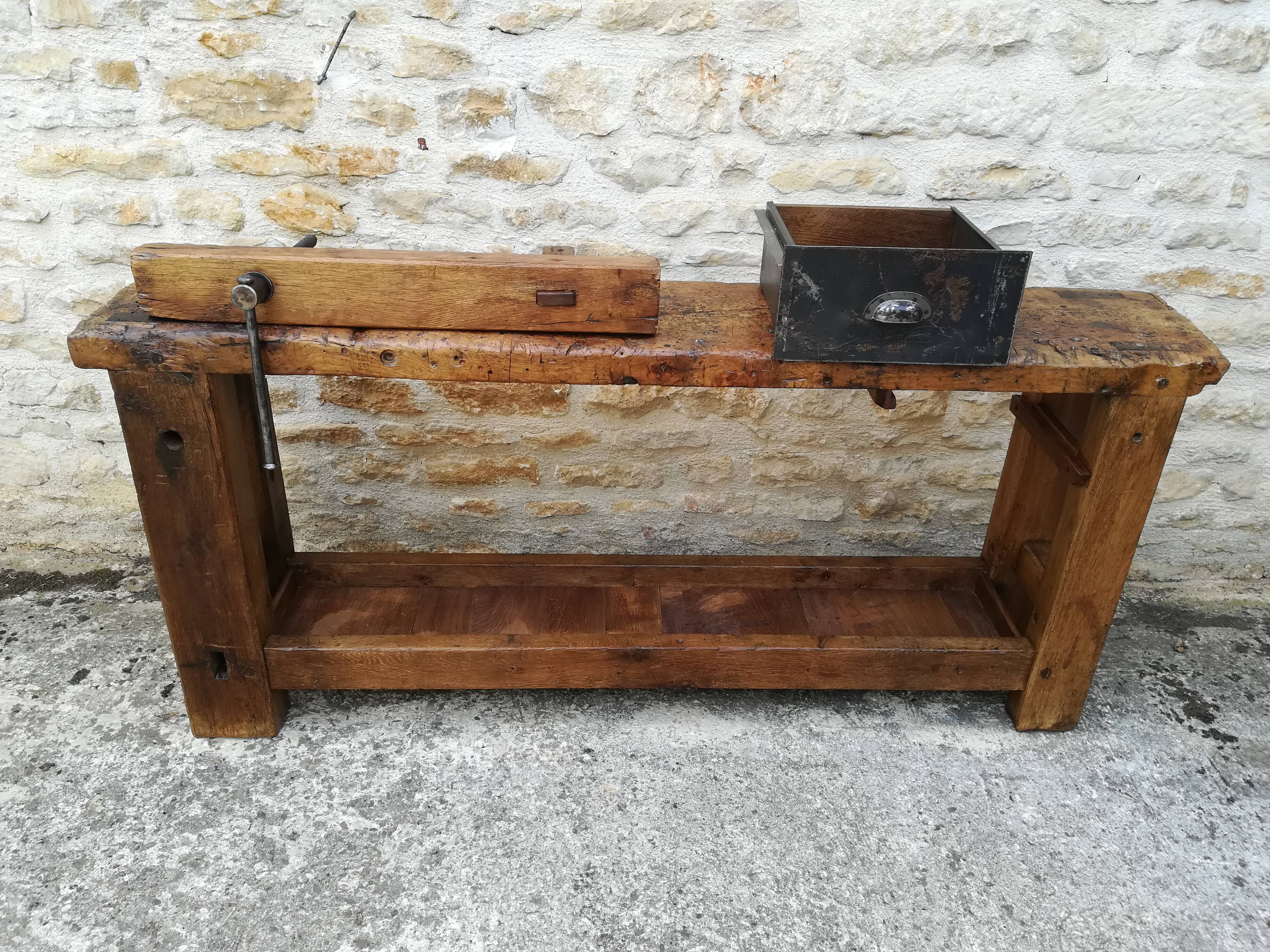 Established in elm and oak