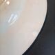 Assiette XIX° en Gien à motifs végétaux asiatiques
