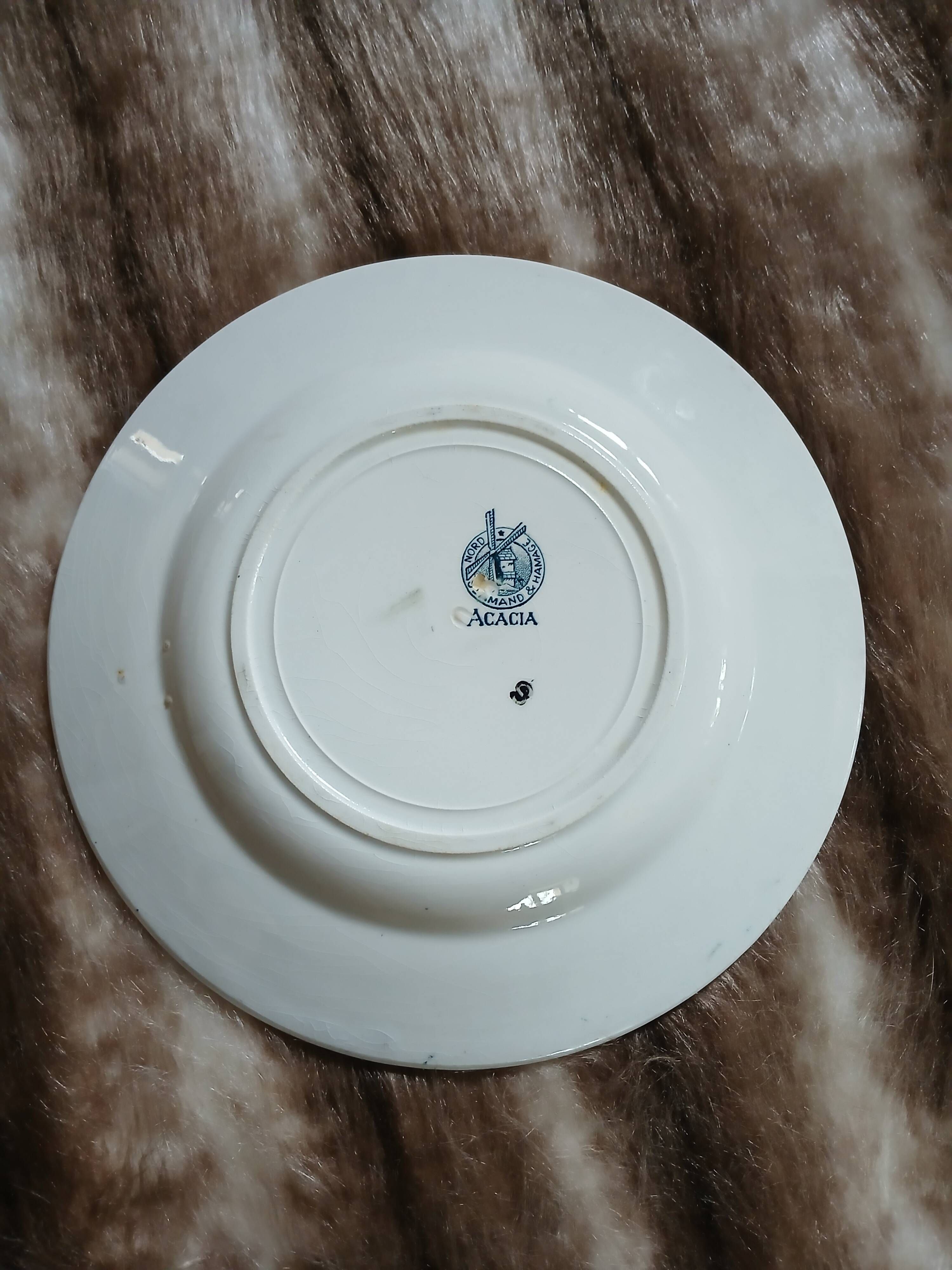 6 antique flat plates in ironstone