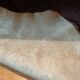 Tapis peau de vache 140 cm x 146cm