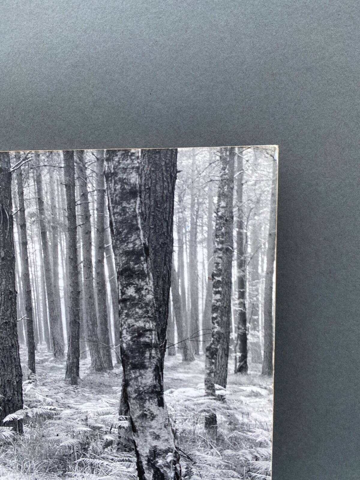 Film photography by Bernard Darot, Fougères II Club Nantais AFIAP