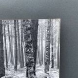 Film photography by Bernard Darot, Fougères II Club Nantais AFIAP