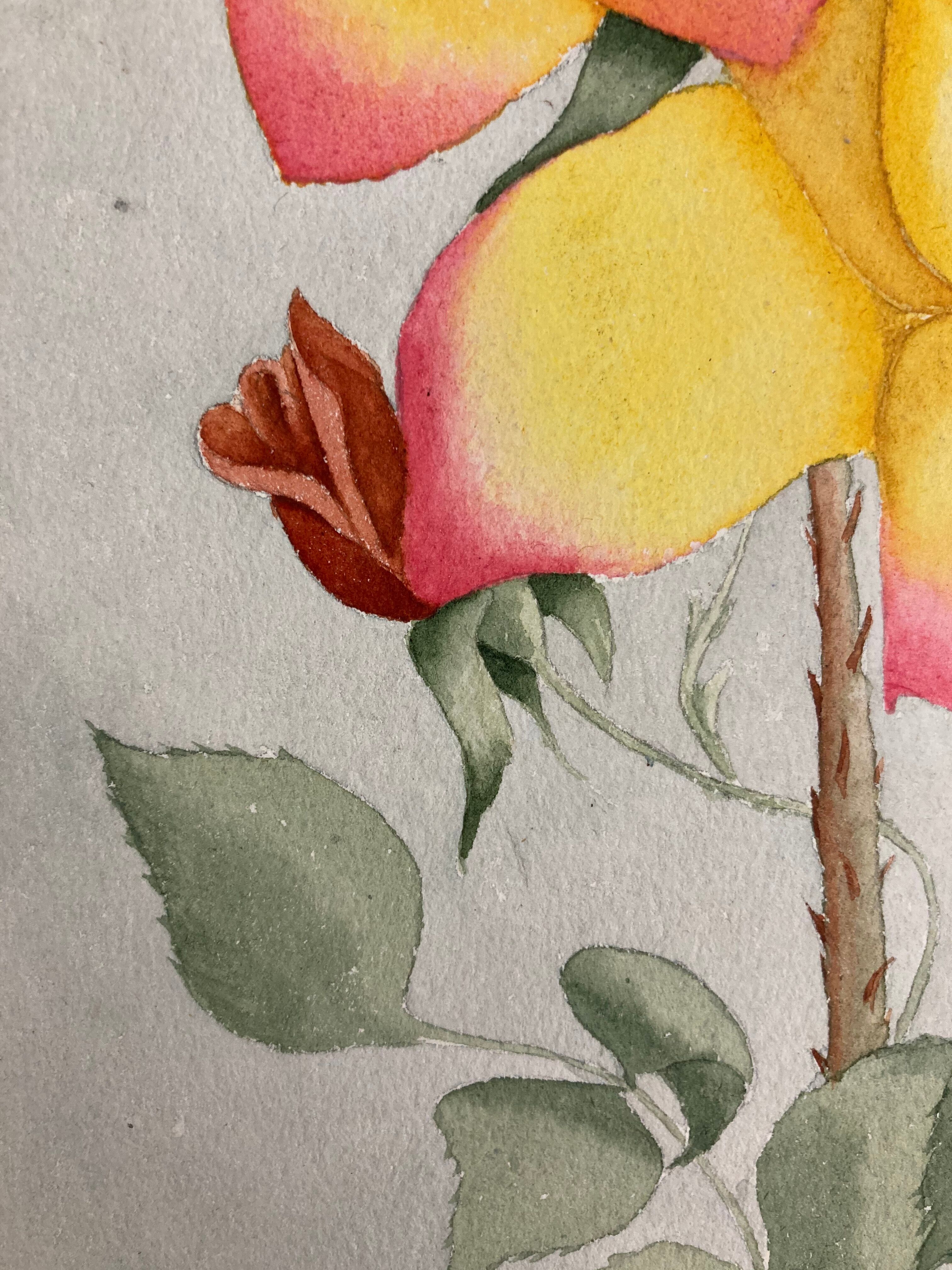 Watercolor with vintage roses