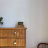 Vintage Scandinavian design commode from the 1950s.