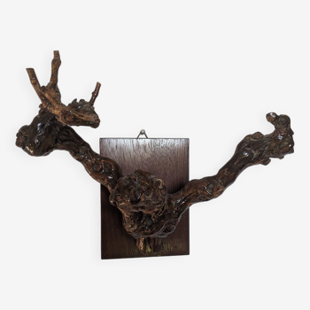 Old vine hook